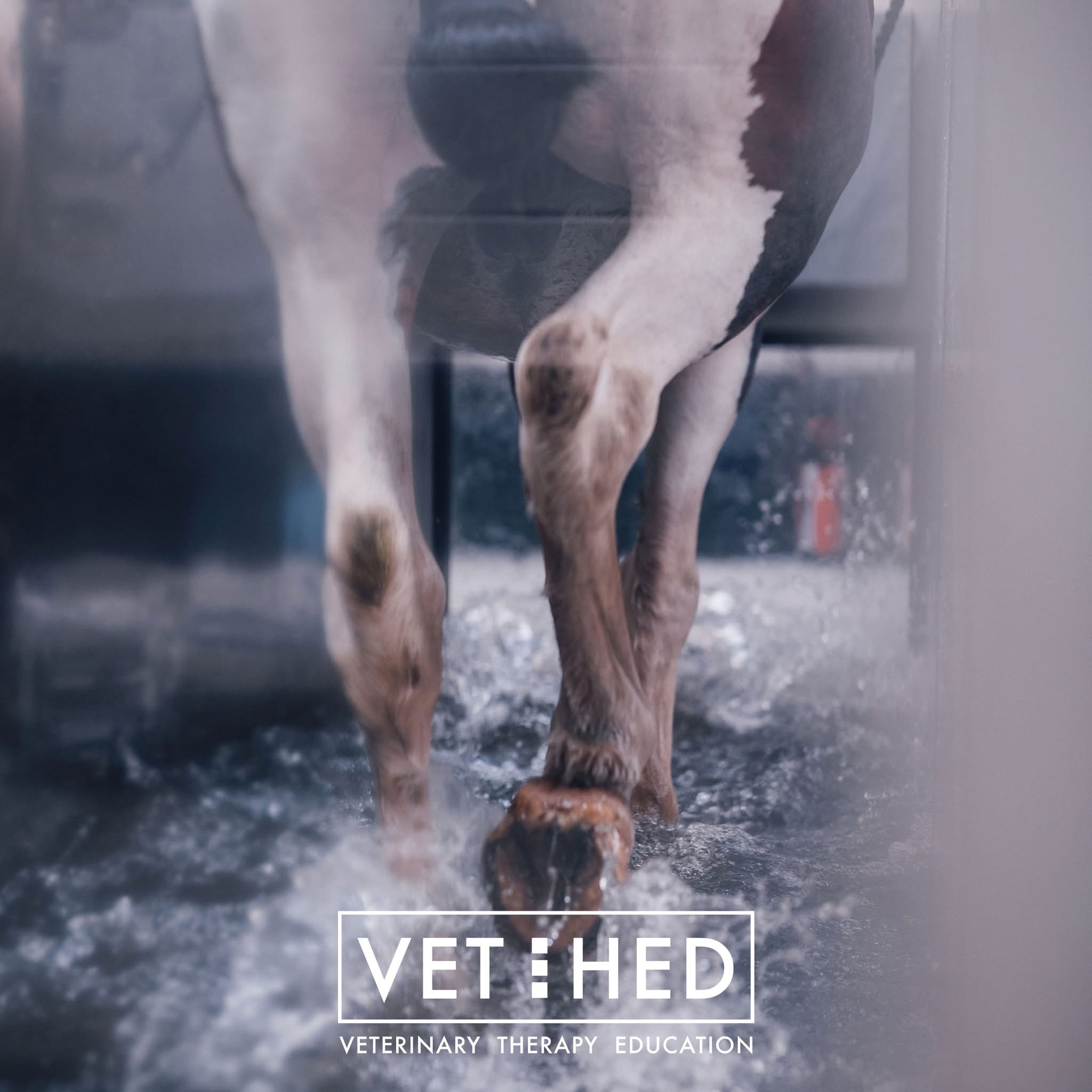 Advanced Equine Hydrotherapy
